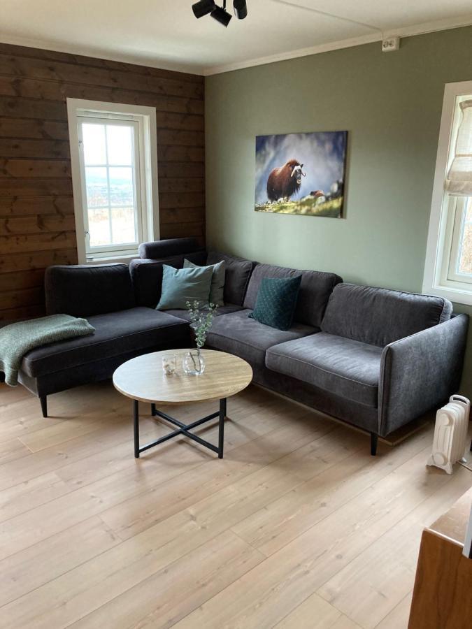 Oppdal Alpintun Apartment Ngoại thất bức ảnh