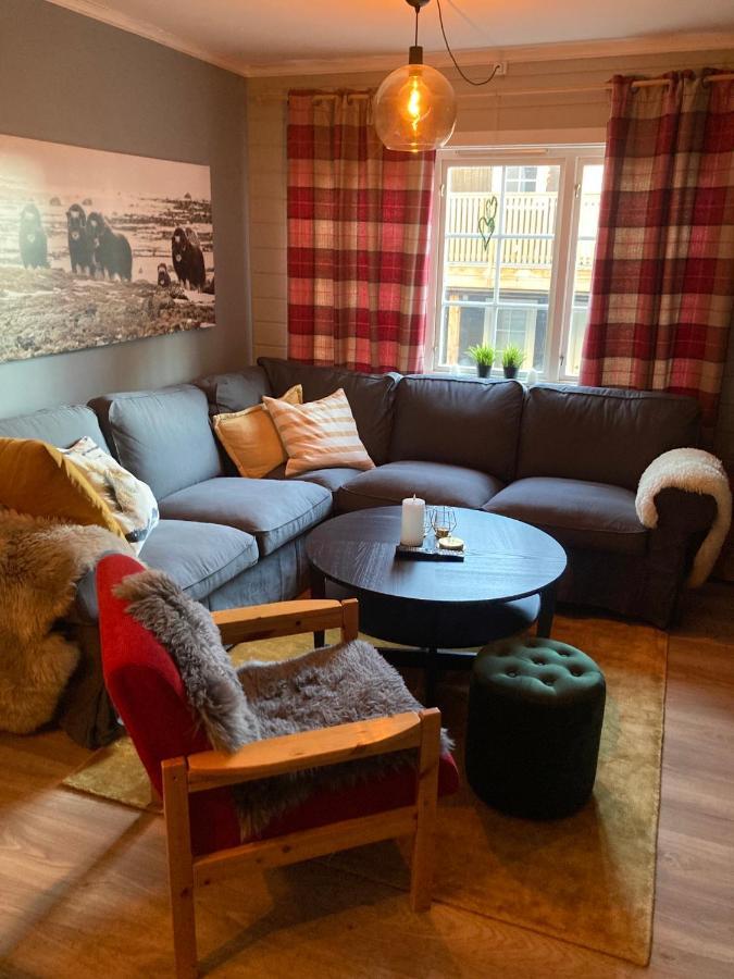 Oppdal Alpintun Apartment Ngoại thất bức ảnh