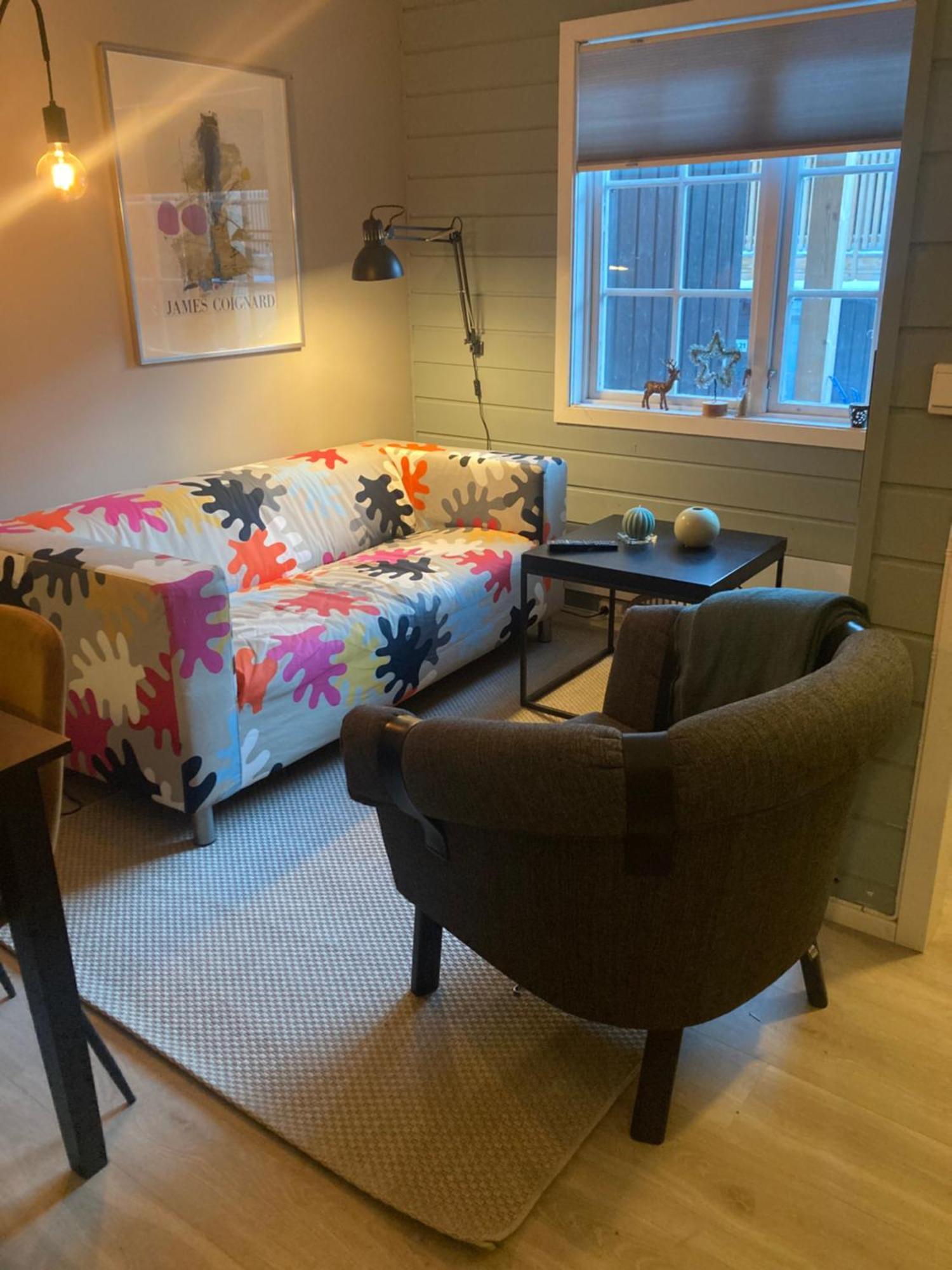 Oppdal Alpintun Apartment Ngoại thất bức ảnh